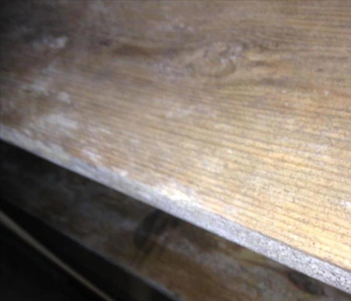 A single piece of plywood inside of a crawlspace that has mold growth.