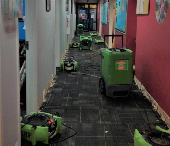 A red hallway, with green air movers and dehus set up and plugged in drying the gray carpet and white baseboards